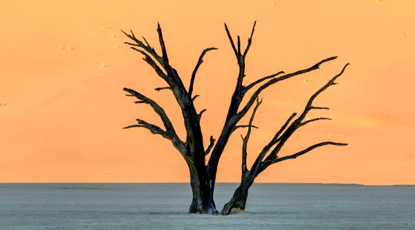 Deadvlei - A Photographers Dream 1