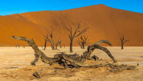 Deadvlei - A Photographers Dream 1