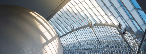 Capturing Reflections: A Photography Journey Through Valencia’s City of Arts and Sciences 1