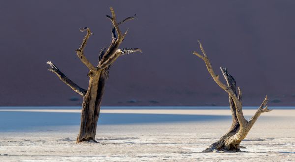 Deadvlei - A Photographers Dream 1