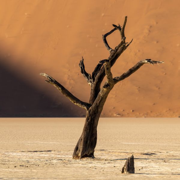 Deadvlei - A Photographers Dream 1