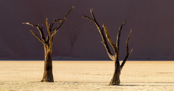 Deadvlei - A Photographers Dream 1