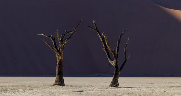 Deadvlei - A Photographers Dream 1