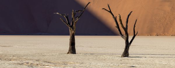 Deadvlei - A Photographers Dream 1