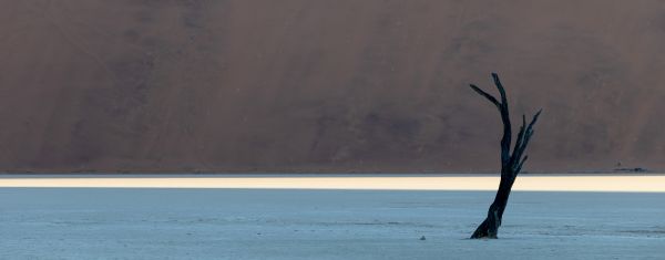 Deadvlei - A Photographers Dream 1