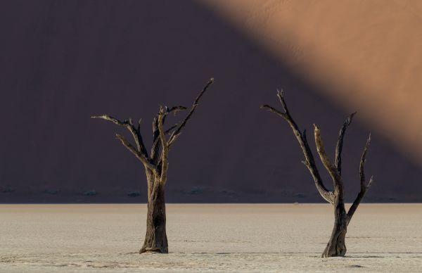 Deadvlei - A Photographers Dream 1