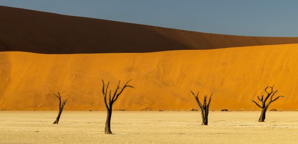 Deadvlei - A Photographers Dream 1