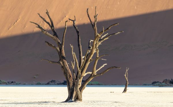 Deadvlei - A Photographers Dream 1