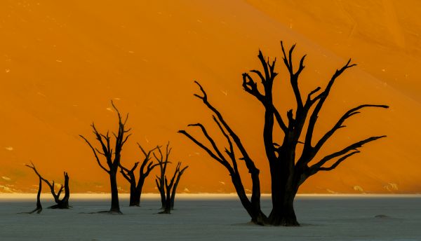 Deadvlei - A Photographers Dream 1