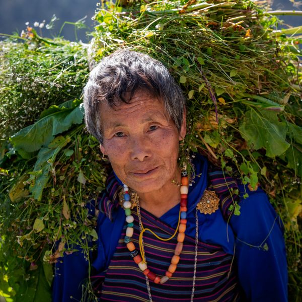 Bhutan - Day 6: Punakha to Bumthang – Through the High Passes 1