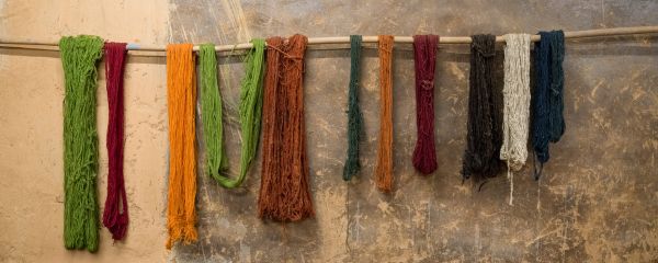 Bhutan - Day 8 - Tang Valley - Nunneries, Villages, and Living Heritage