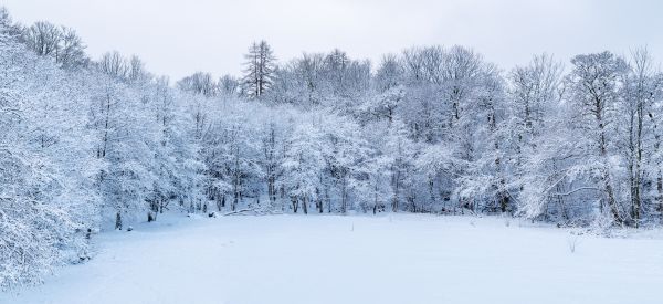 A Highland Winter Journey 1