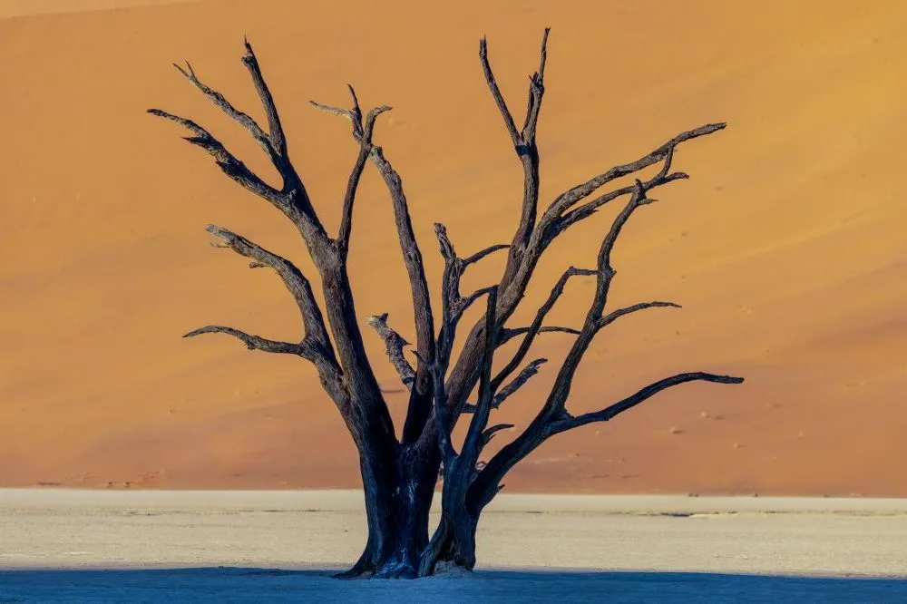 Deadvlei - A Photographers Dream Deadvlei - A Photographers Dream