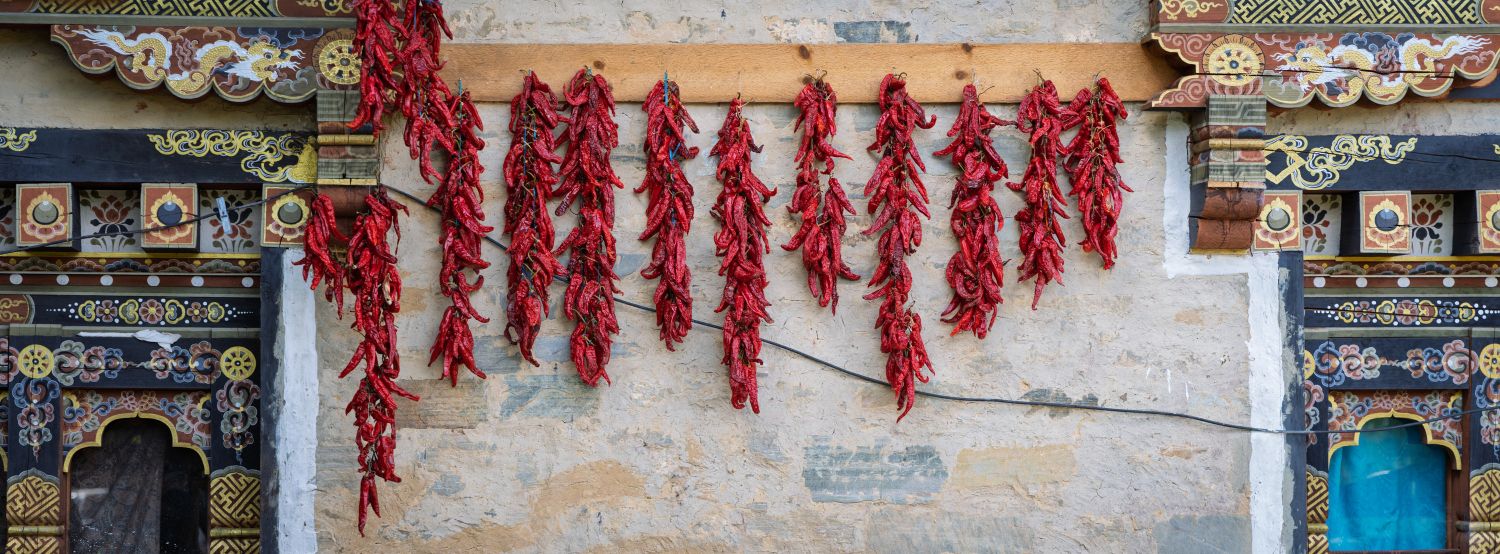 Drying Chilli