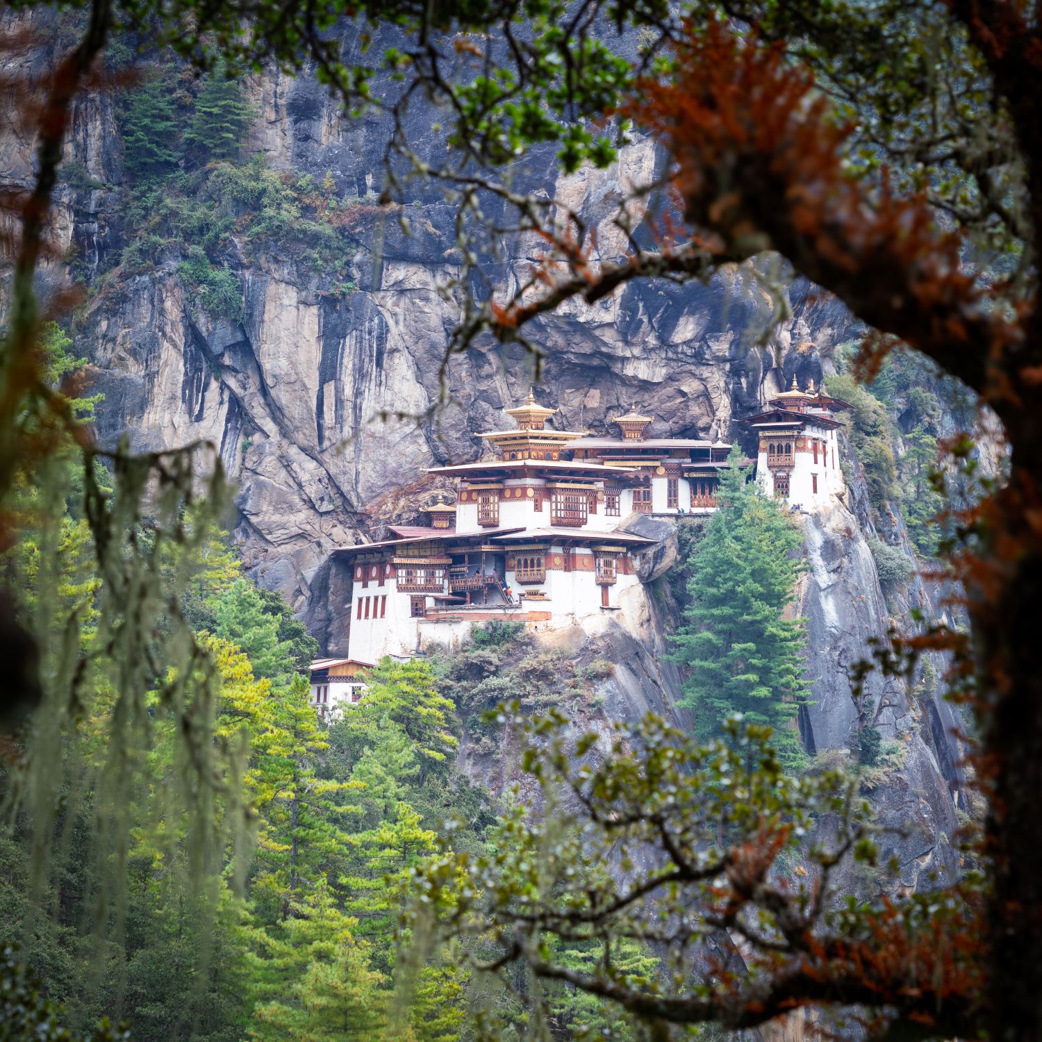 Tigers Nest 4