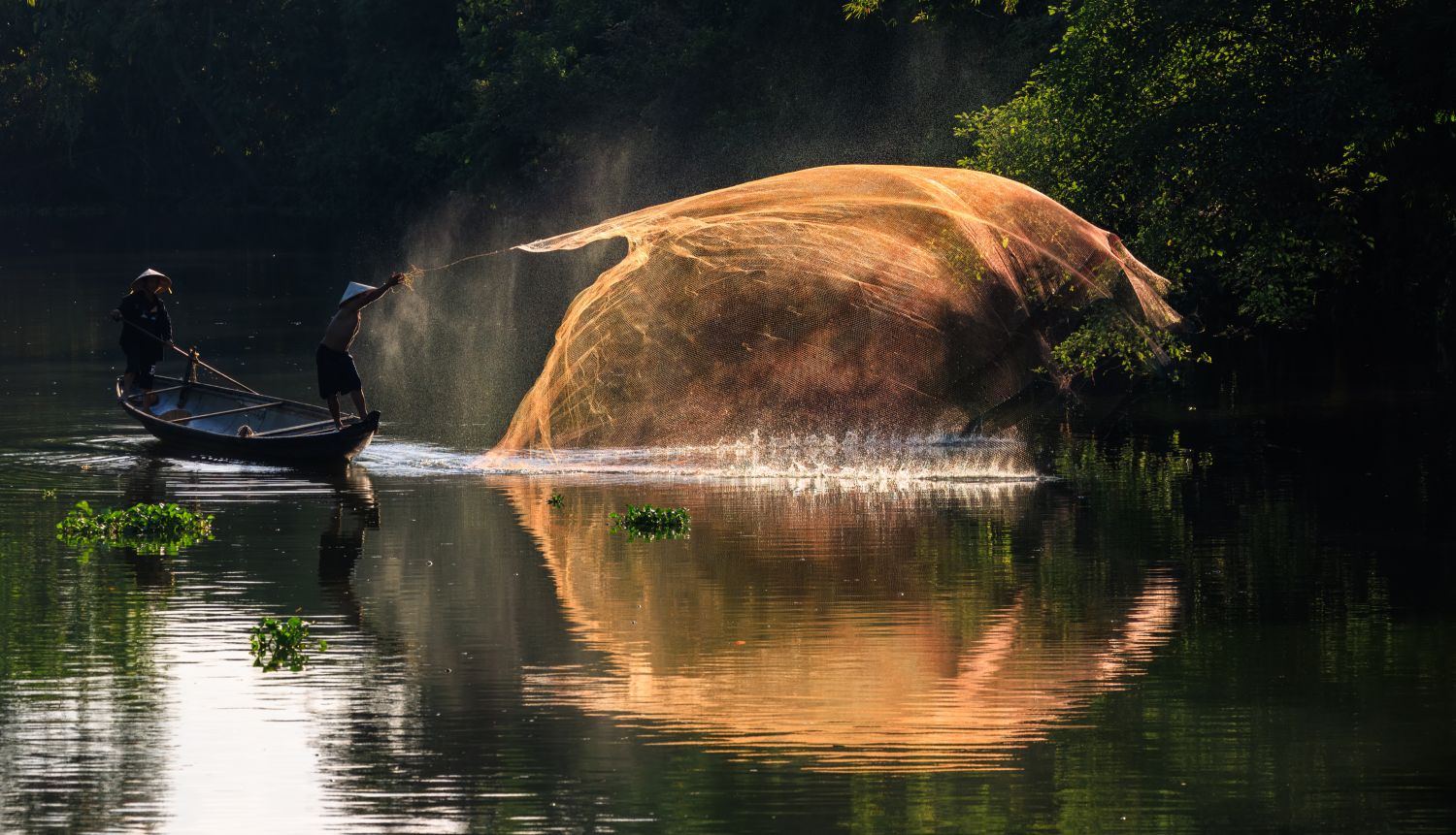Golden Net
