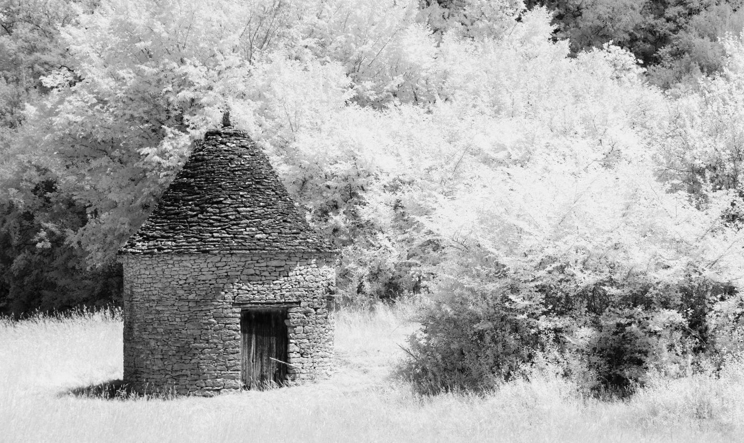 Shepherds Hut