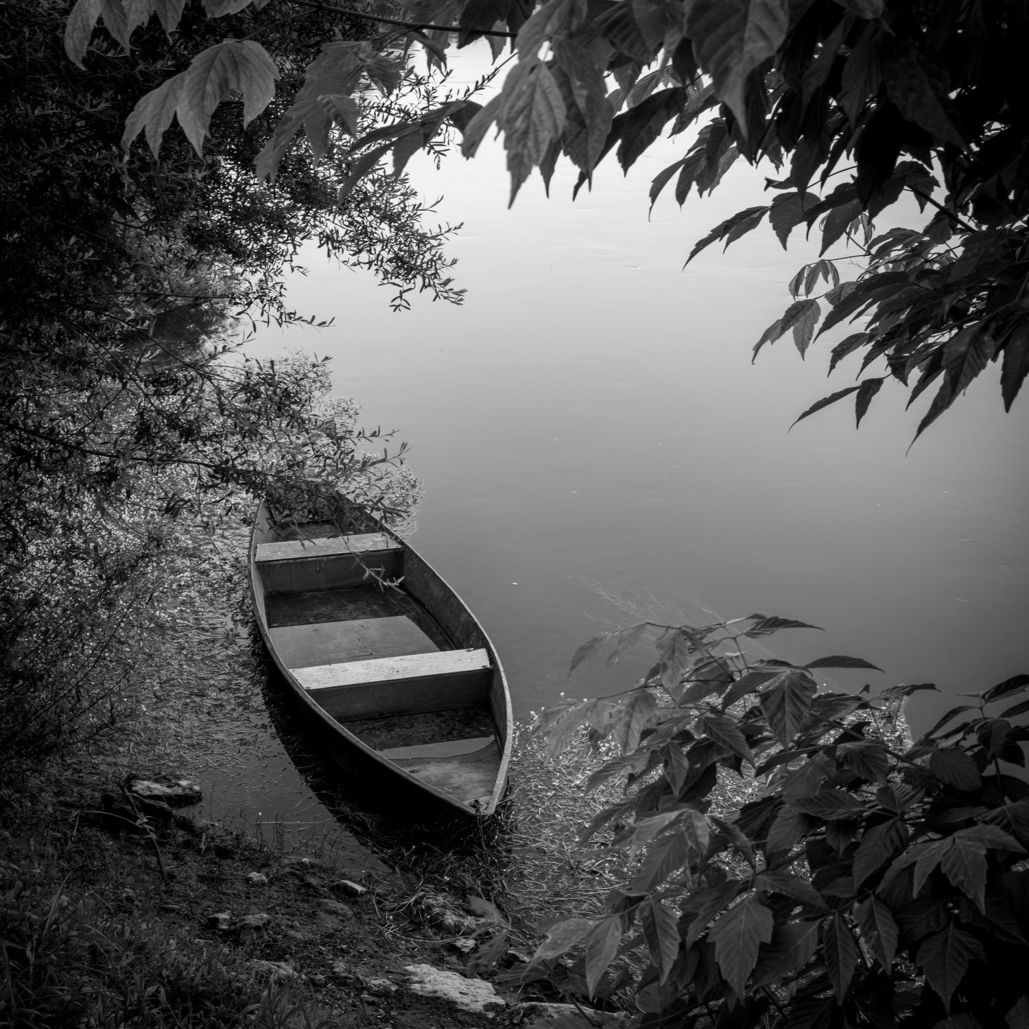 Rowing Boat