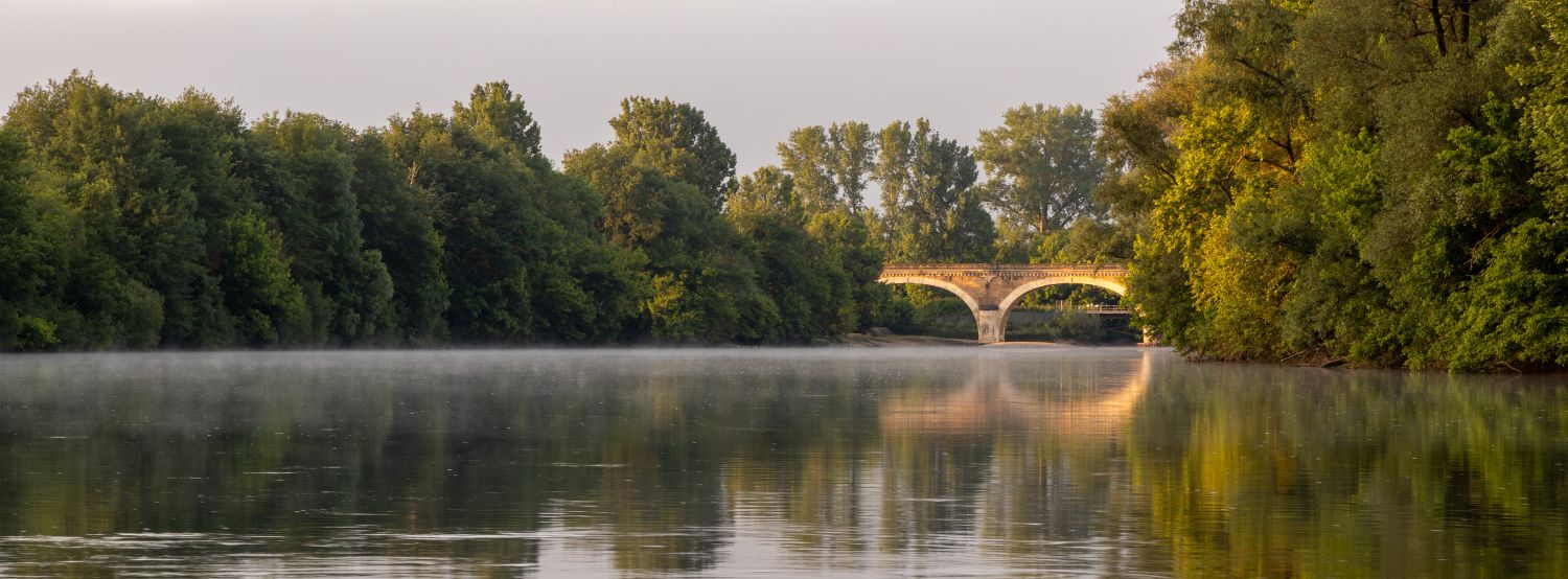 The Bridge