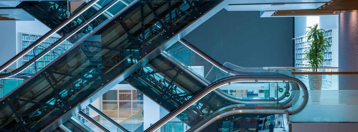 Mohammed Bin Rashid Library 2