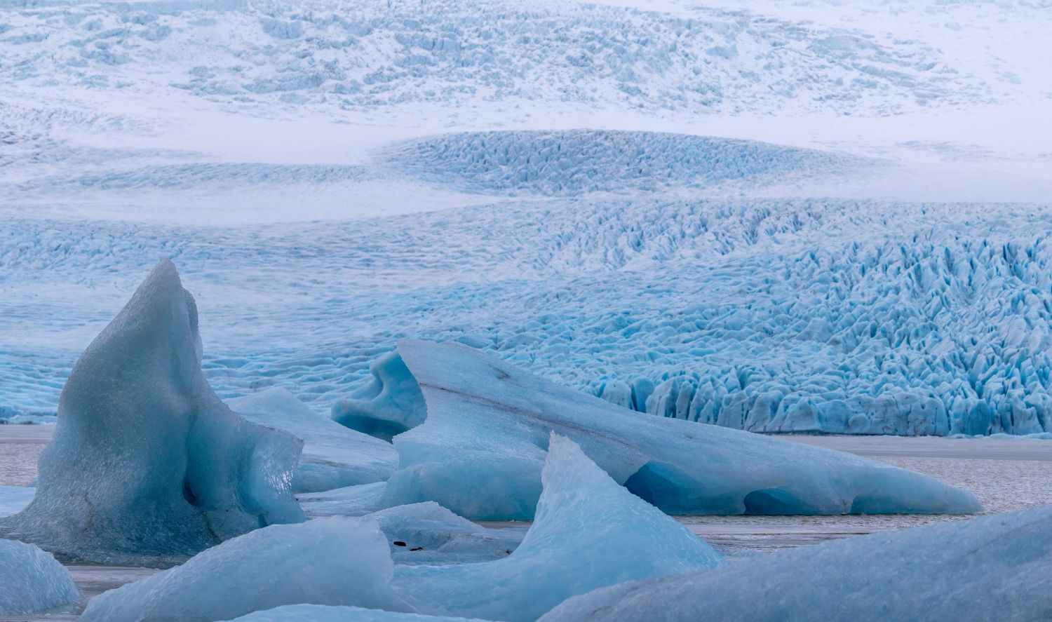 Fjallsarlon Glacier Lagoon 2