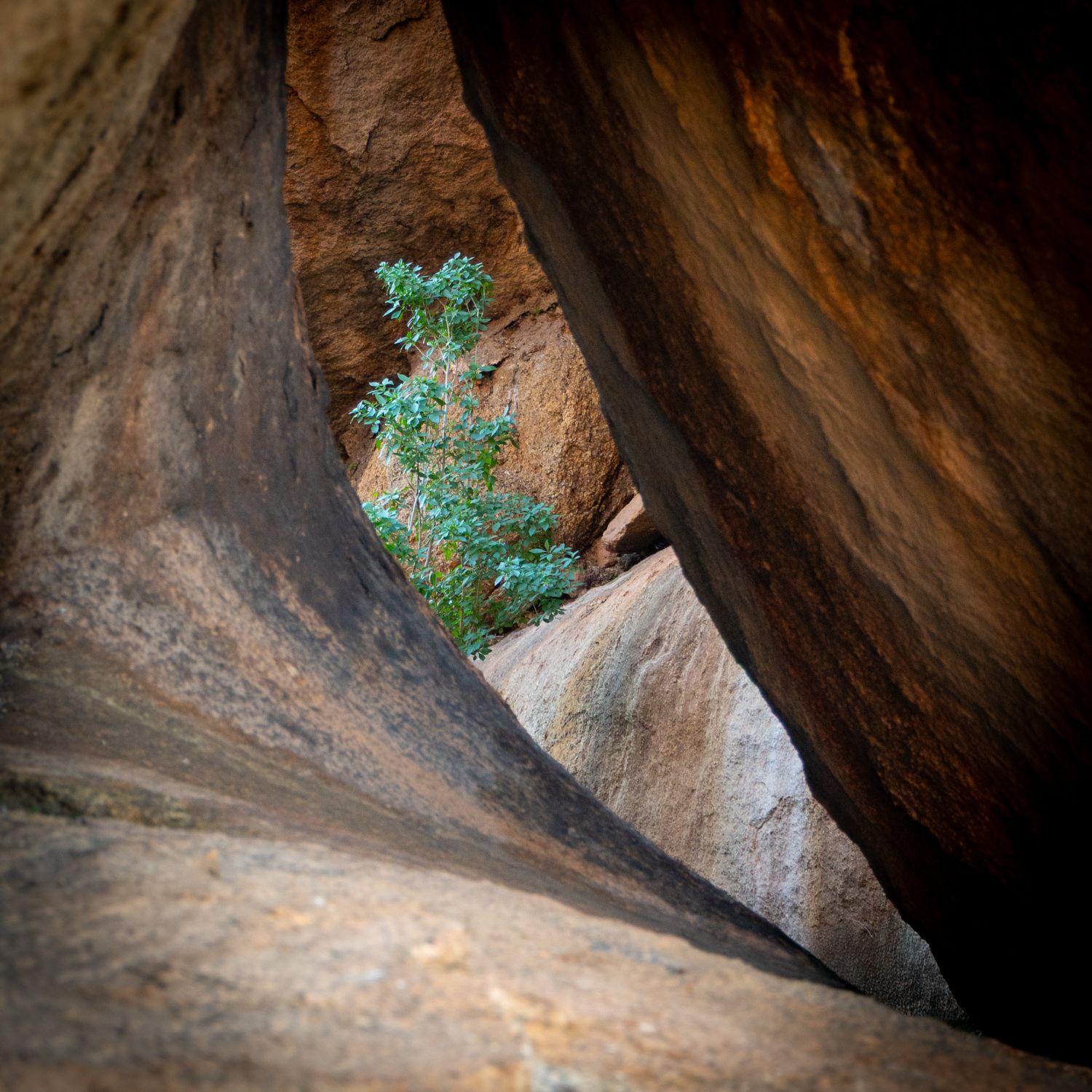 Spitzkoppe Hidden View