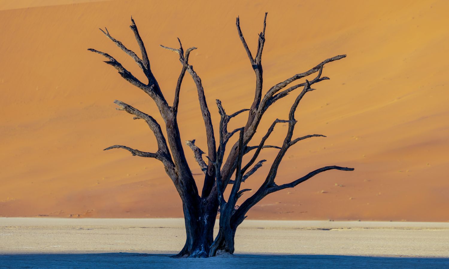 Deadvlei 9