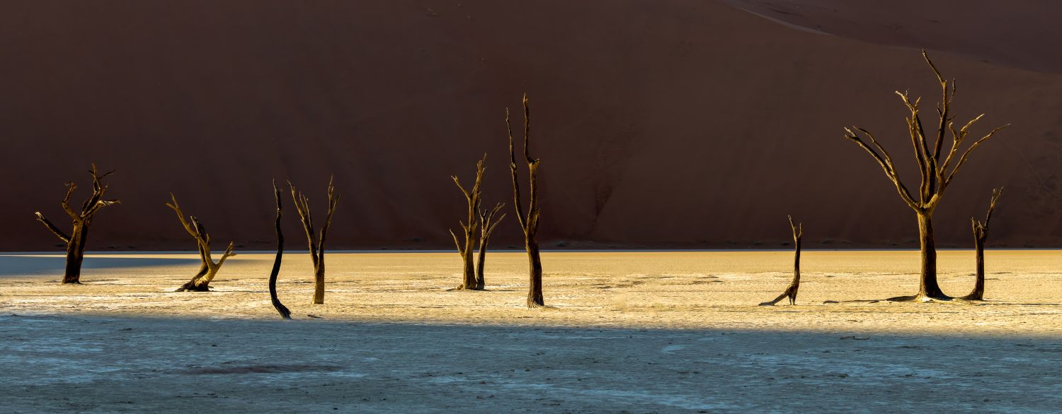 Deadvlei 8