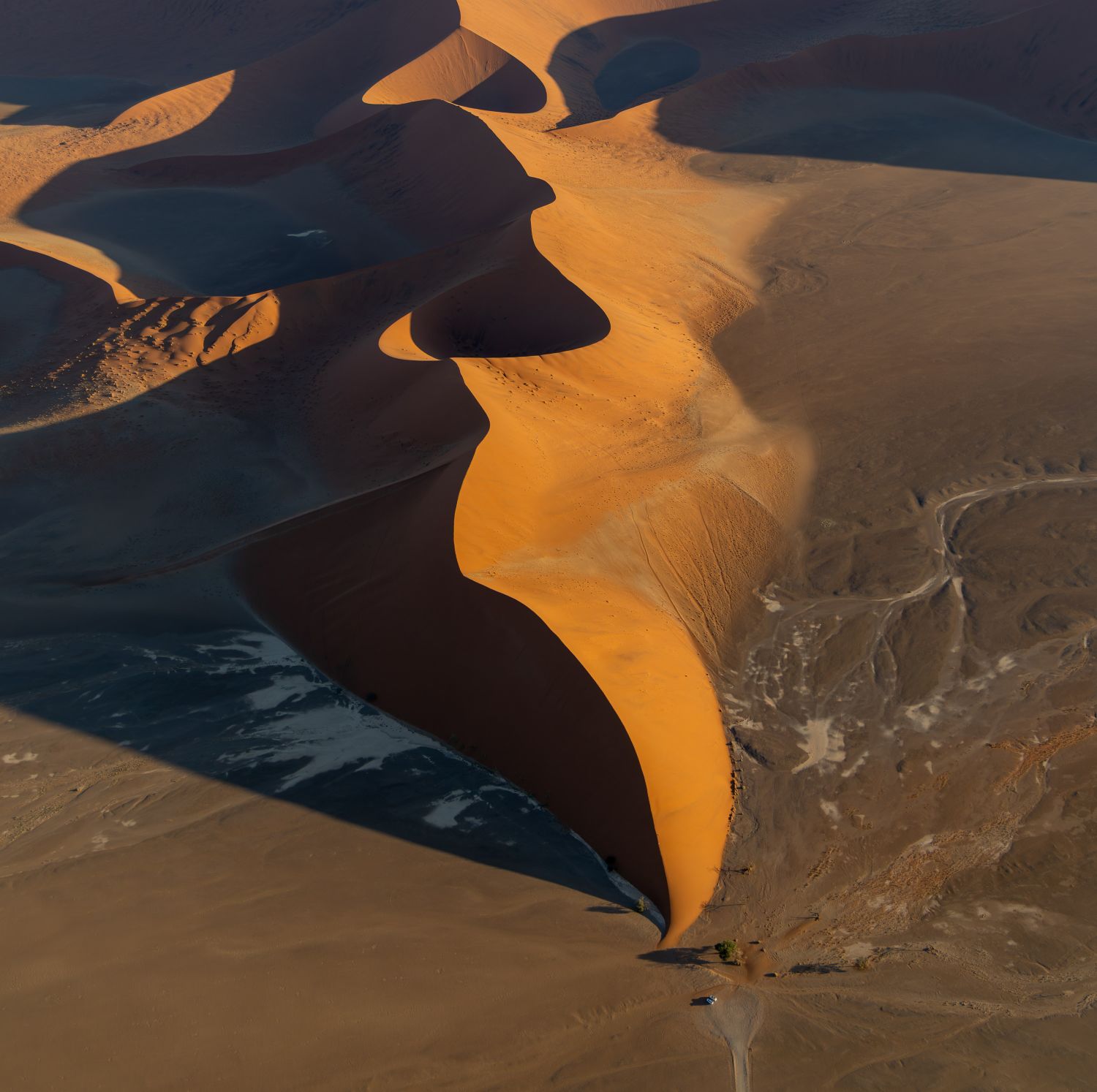 Sossusvlei Dune 2