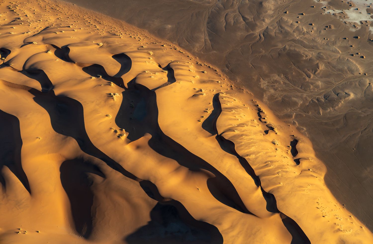 Sossusvlei Dune 7