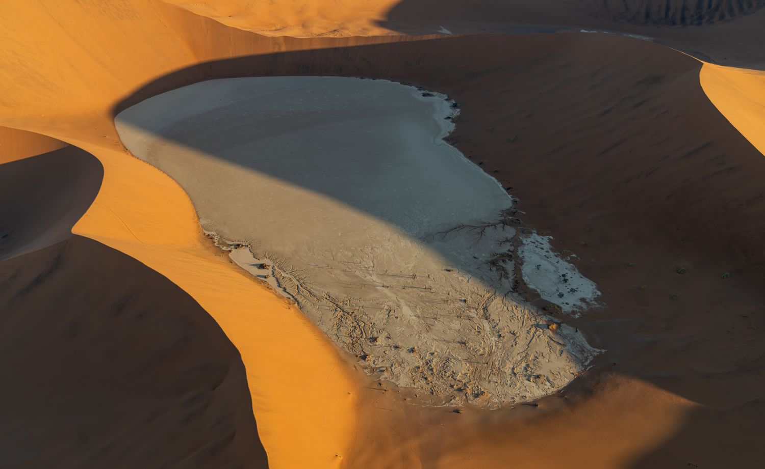 Sossusvlei Dune 8