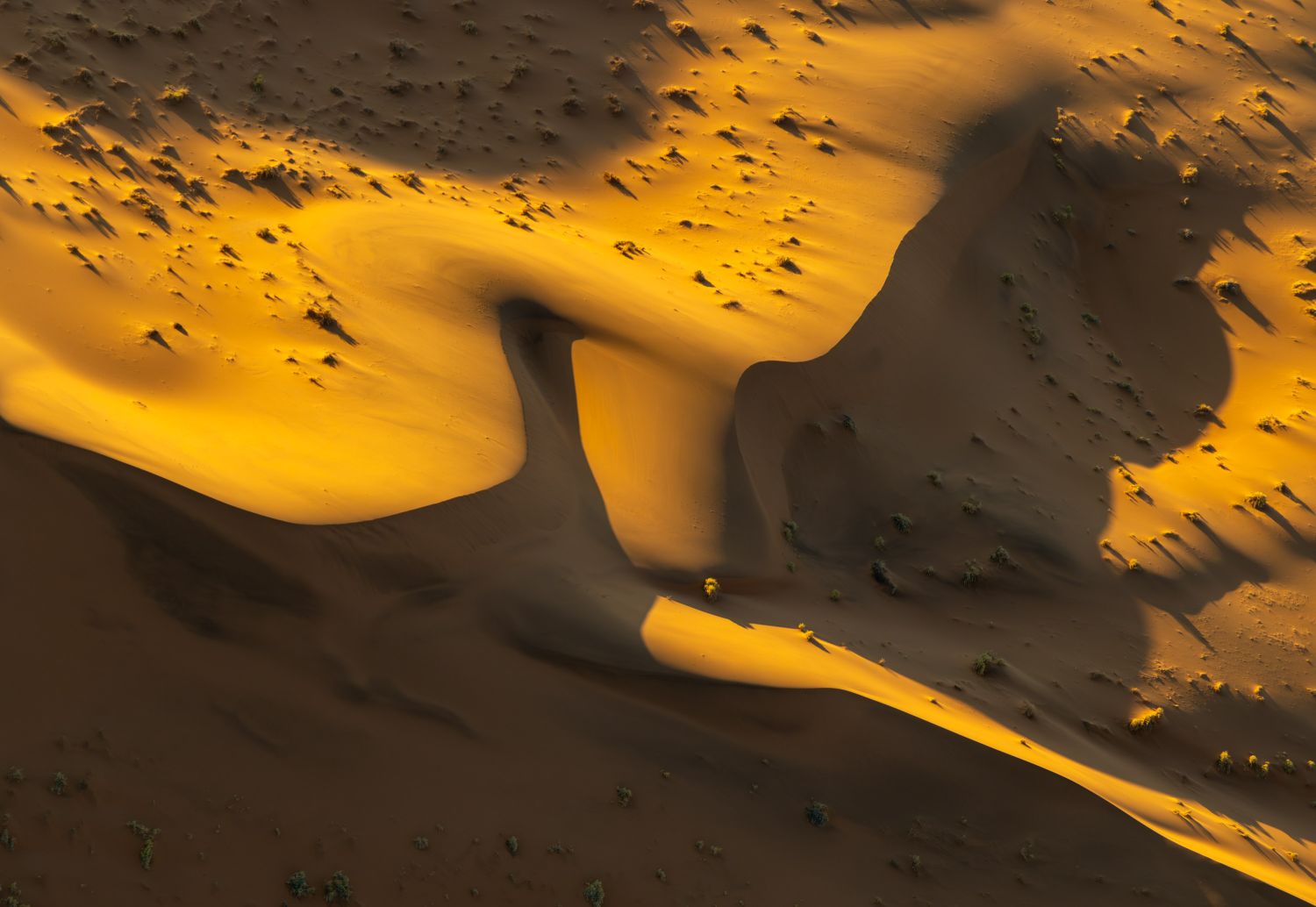 Sossusvlei Dune 20