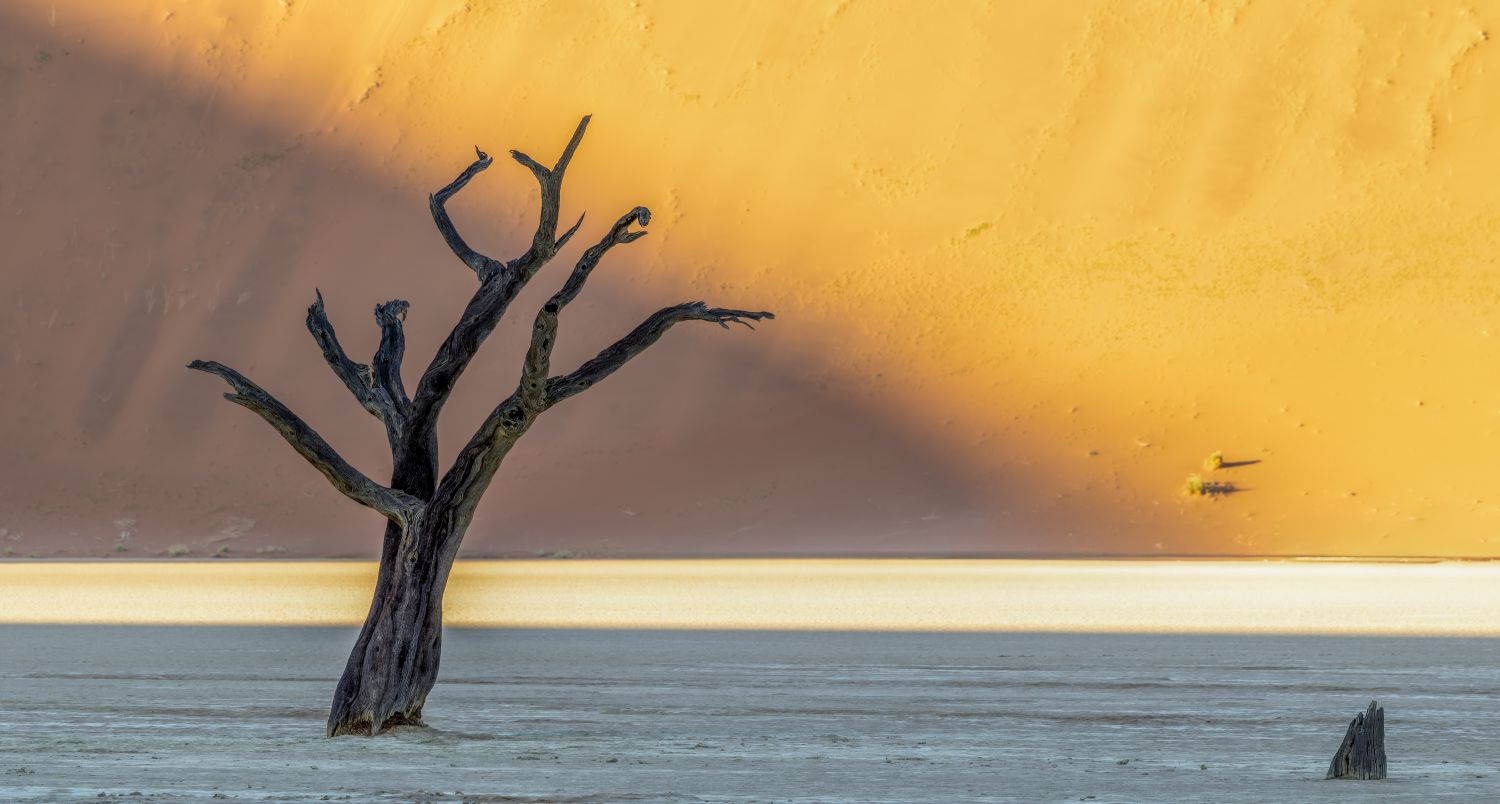Deadvlei 11