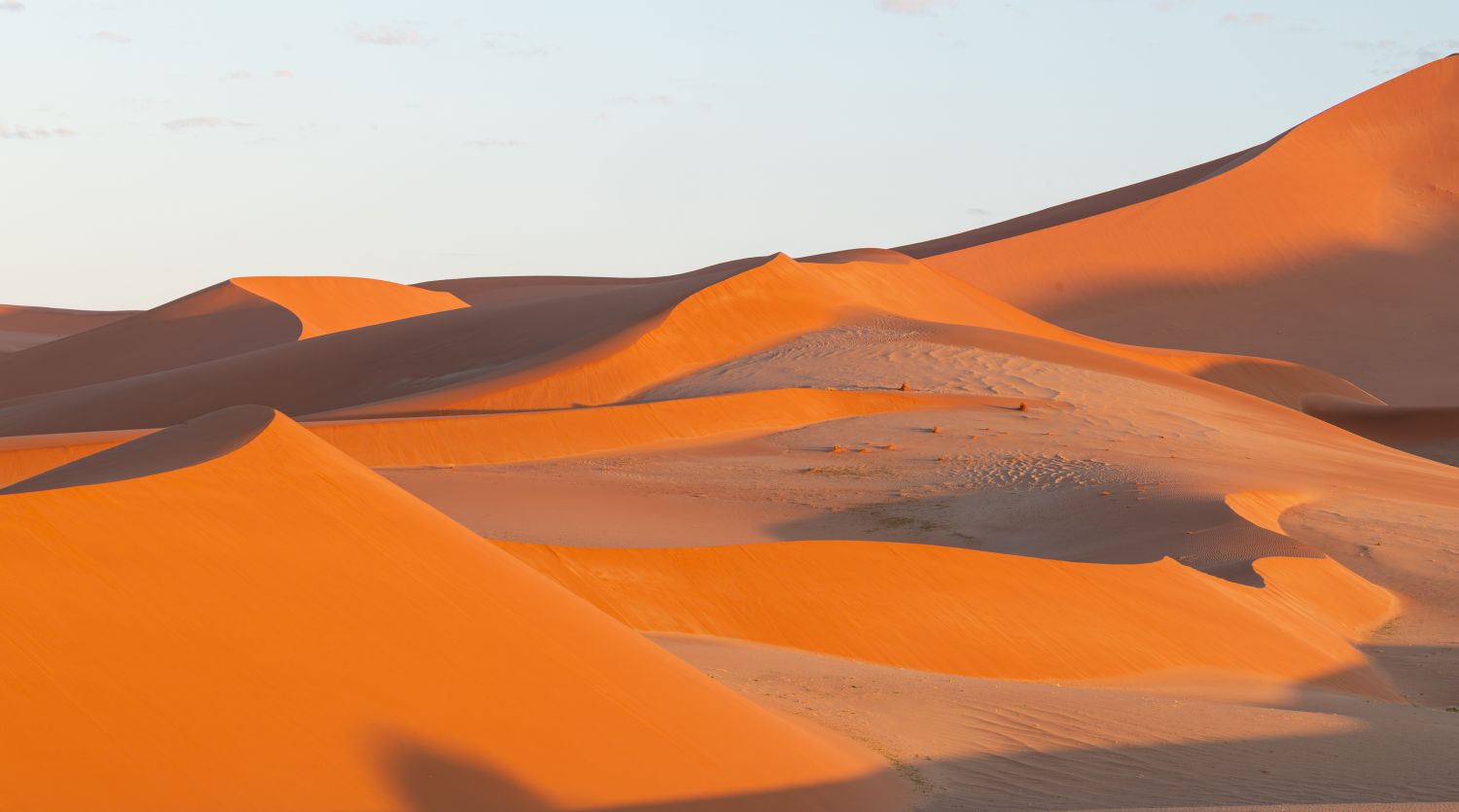 Sossusvlei Dune 6