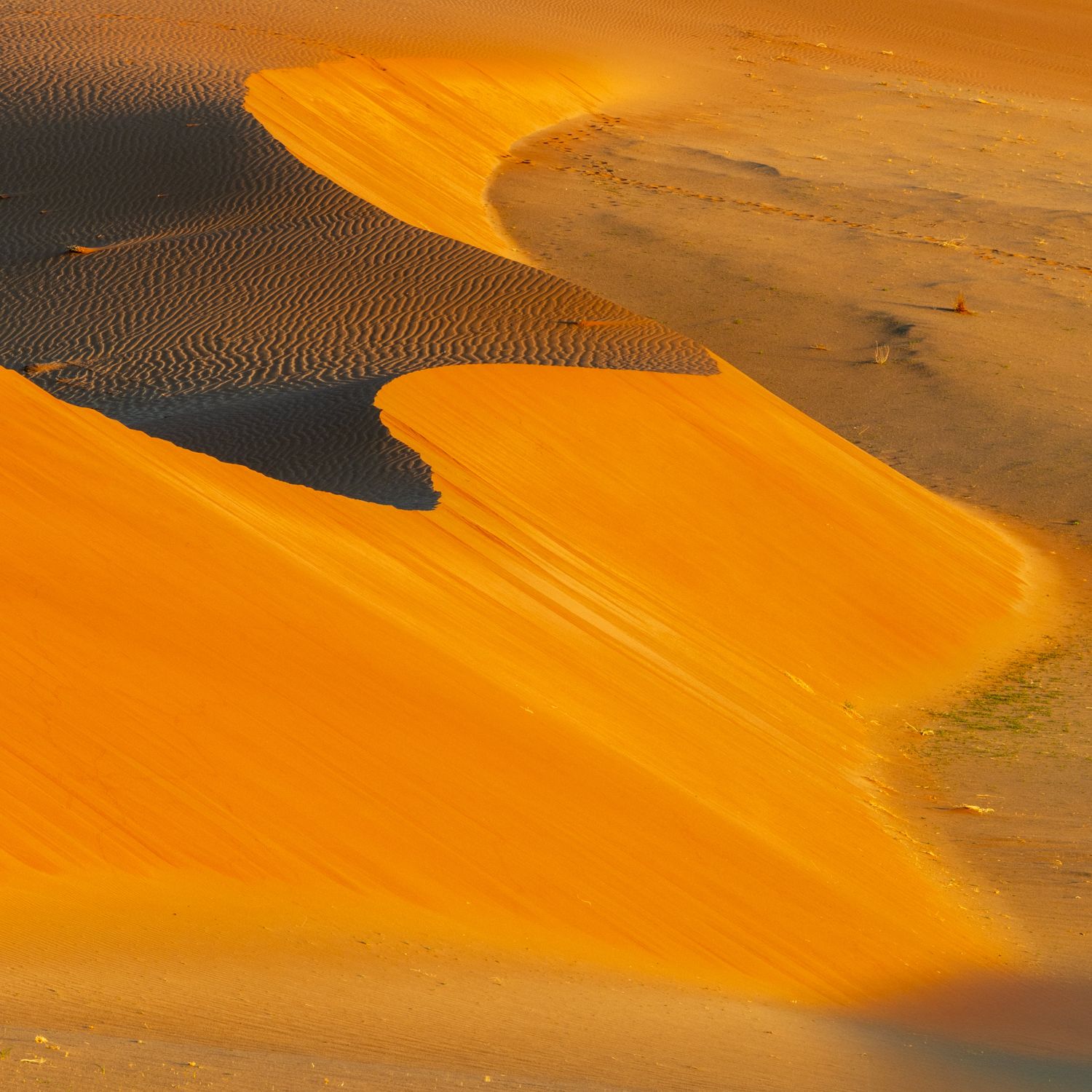 Sossusvlei Dune 10