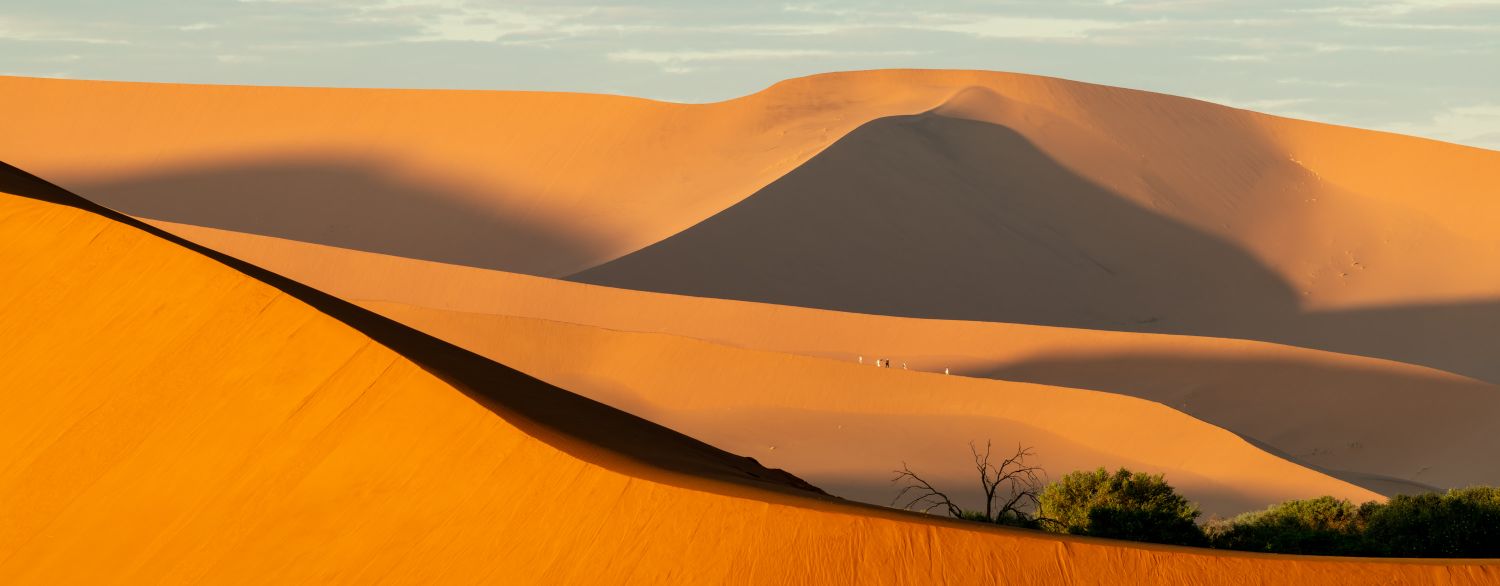 Sossusvlei Dune 11