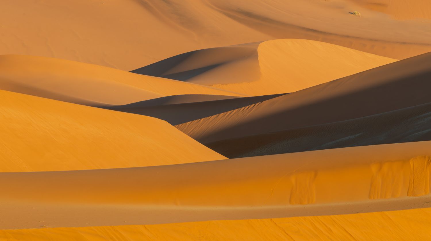 Sossusvlei Dune 12
