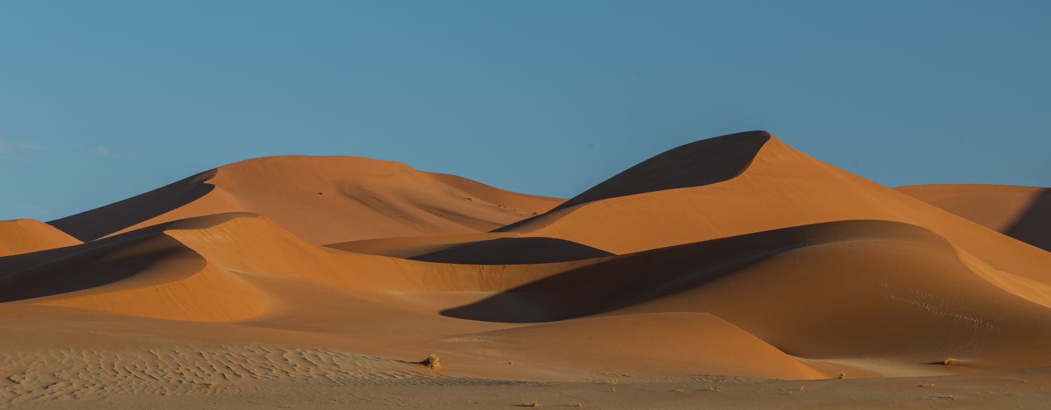 Sossusvlei Dune 13