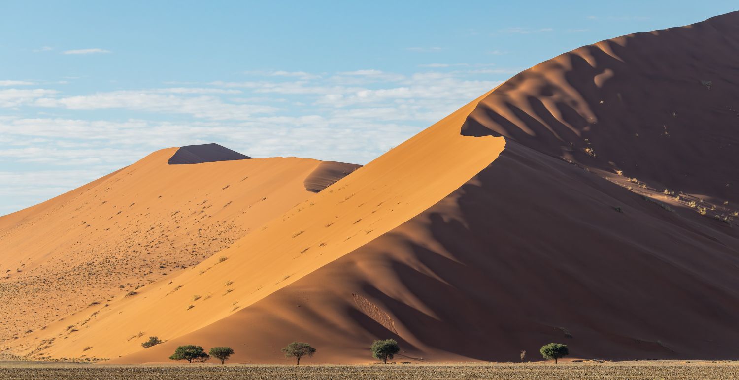 Sossusvlei Dune 15