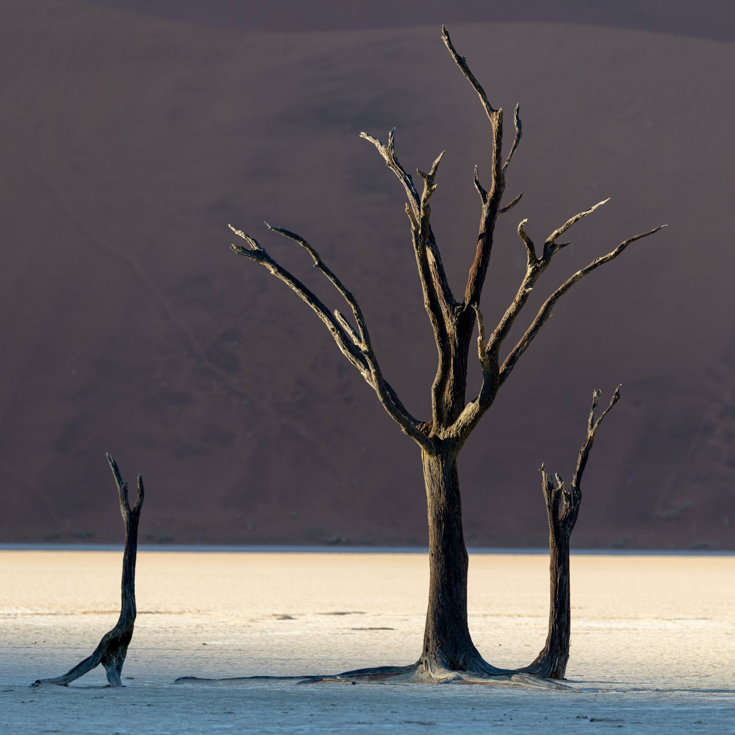 Deadvlei 7