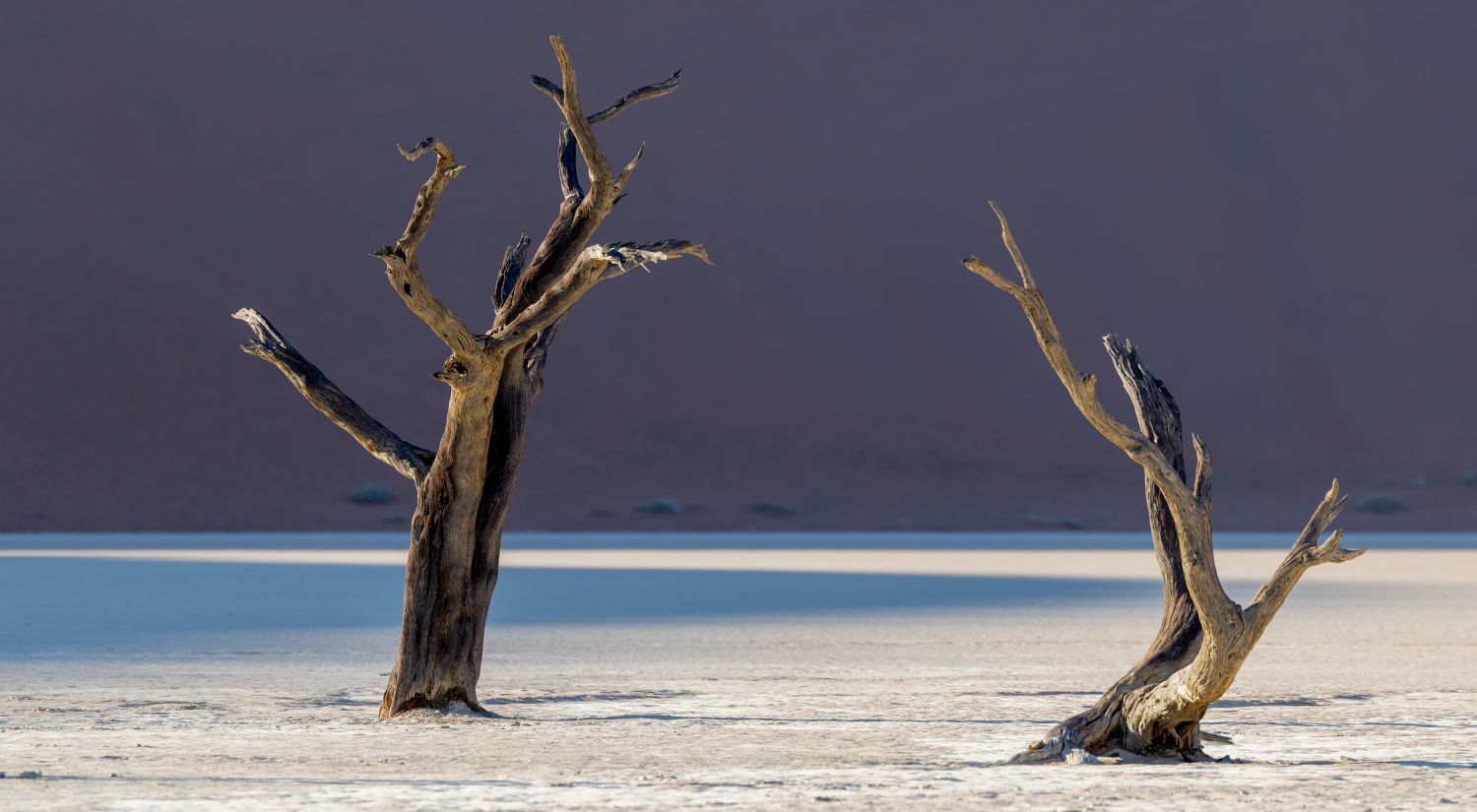 Deadvlei 2