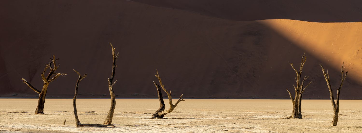 Deadvlei 1