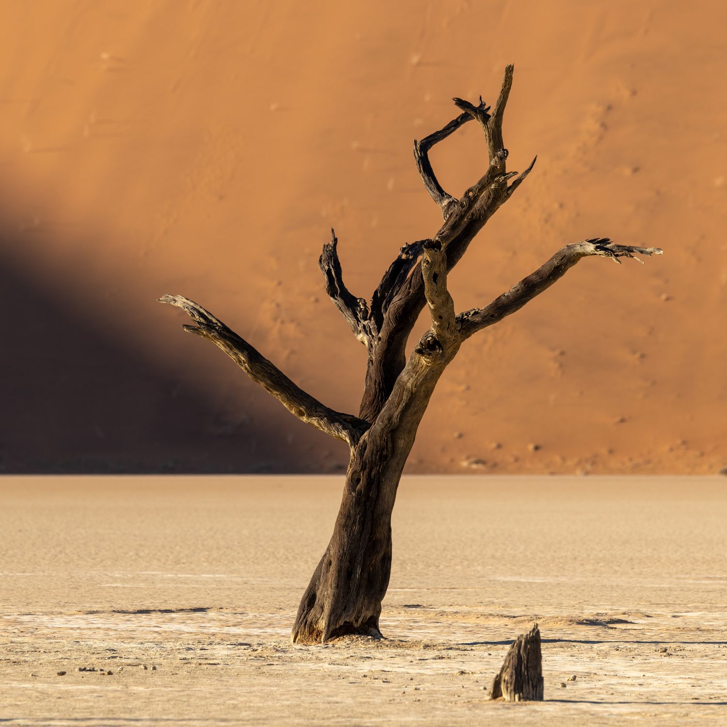 Deadvlei 4