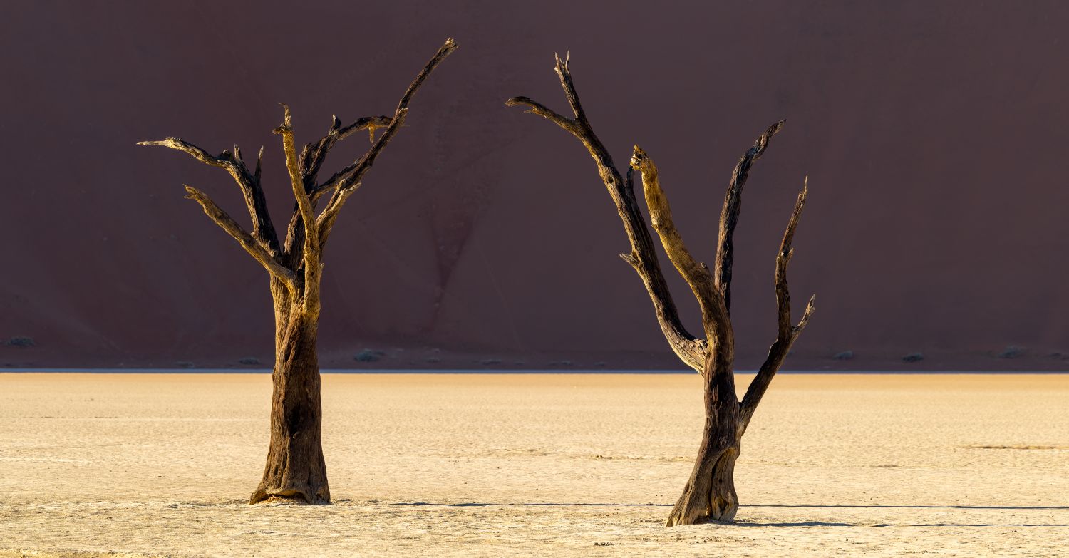 Deadvlei 10