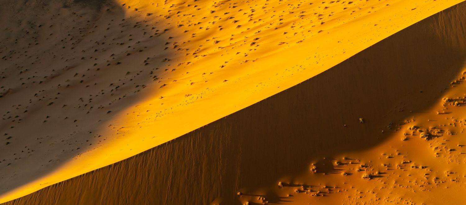 Sossusvlei Dune 5