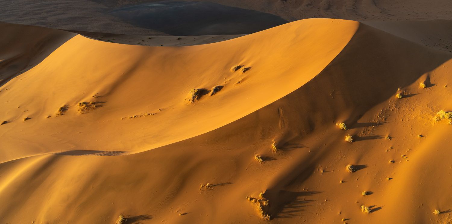 Sossusvlei Dune 16