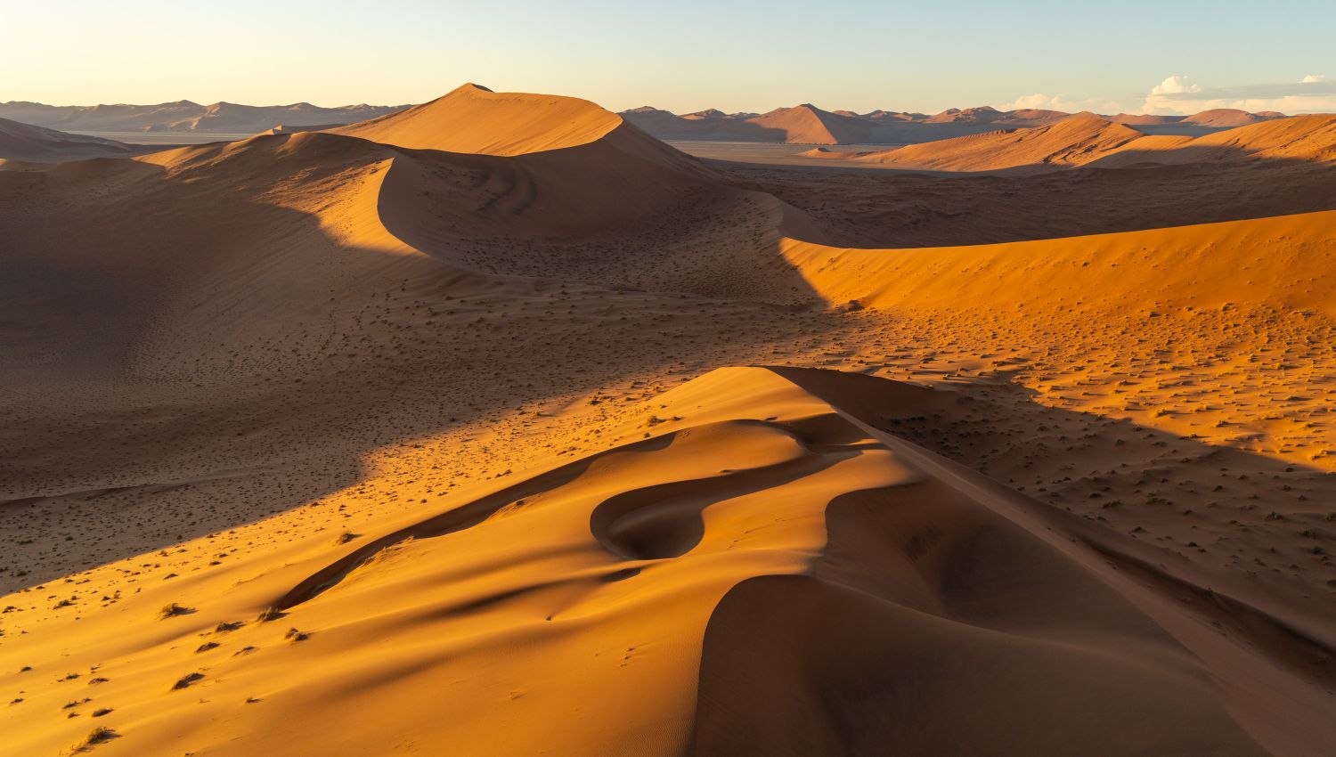 Sossusvlei Dune 4
