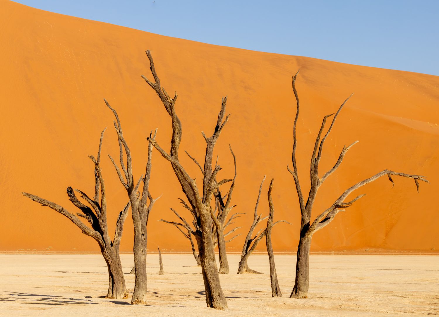 Deadvlei 5