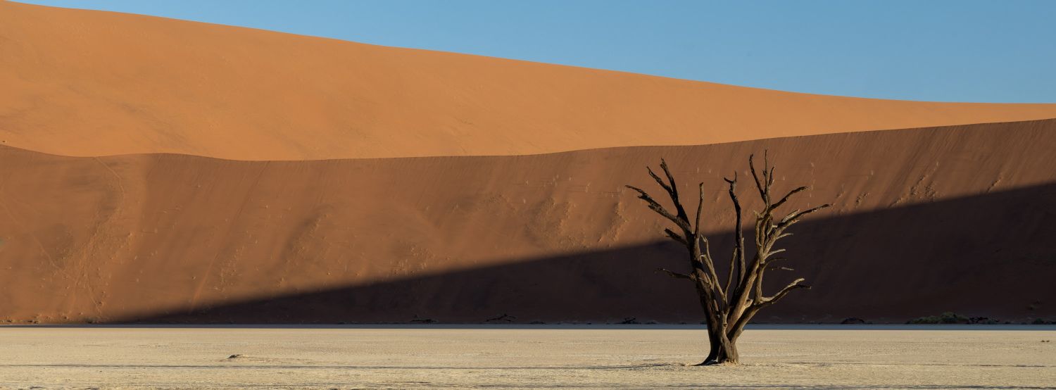 Deadvlei 6