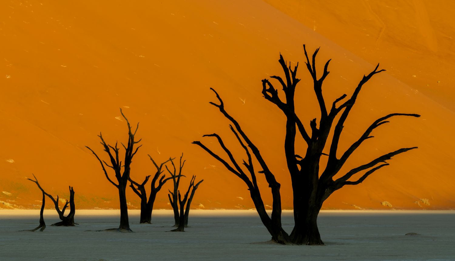 Deadvlei 3